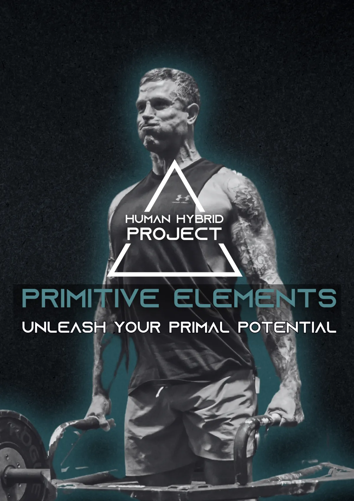 Primitive Elements